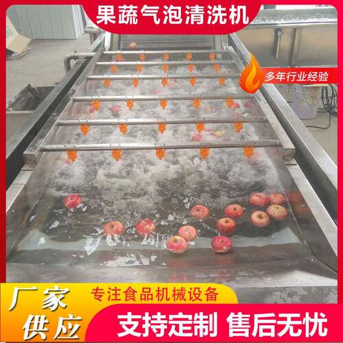 全自动果蔬气泡去污去杂清洗机荔枝清洗设备龙眼清洗风干一体机