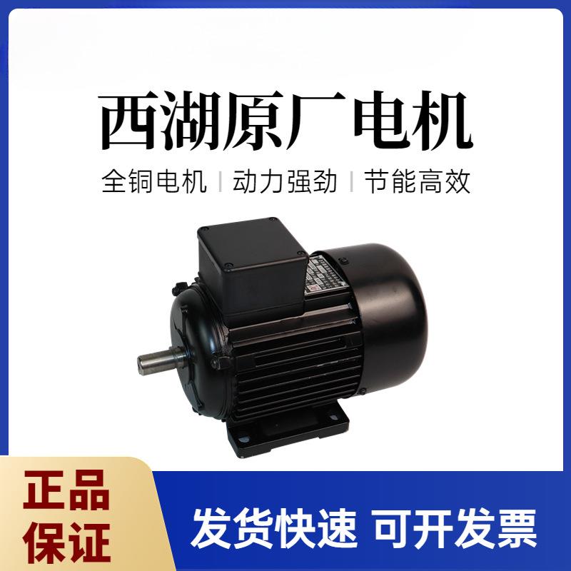 杭州西湖台钻电机YS7114T YS7124T YS8036T三相异步380V马达