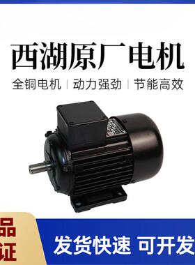 杭州西湖台钻电机YS7114T YS7124T YS8036T三相异步380V马达