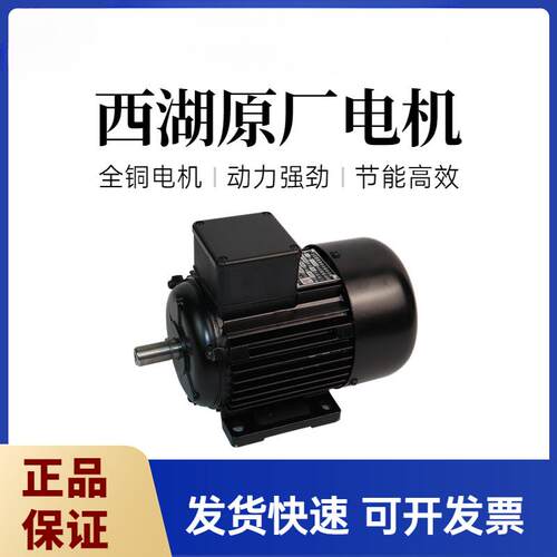 杭州西湖台钻电机YS7114T YS7124T YS8036T三相异步380V马达