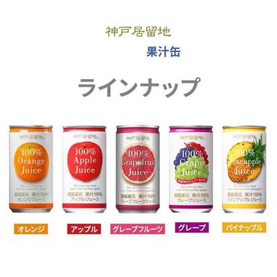 日本进口富永神户居留地西柚凤梨番茄味浓缩还原果汁饮料罐装185g