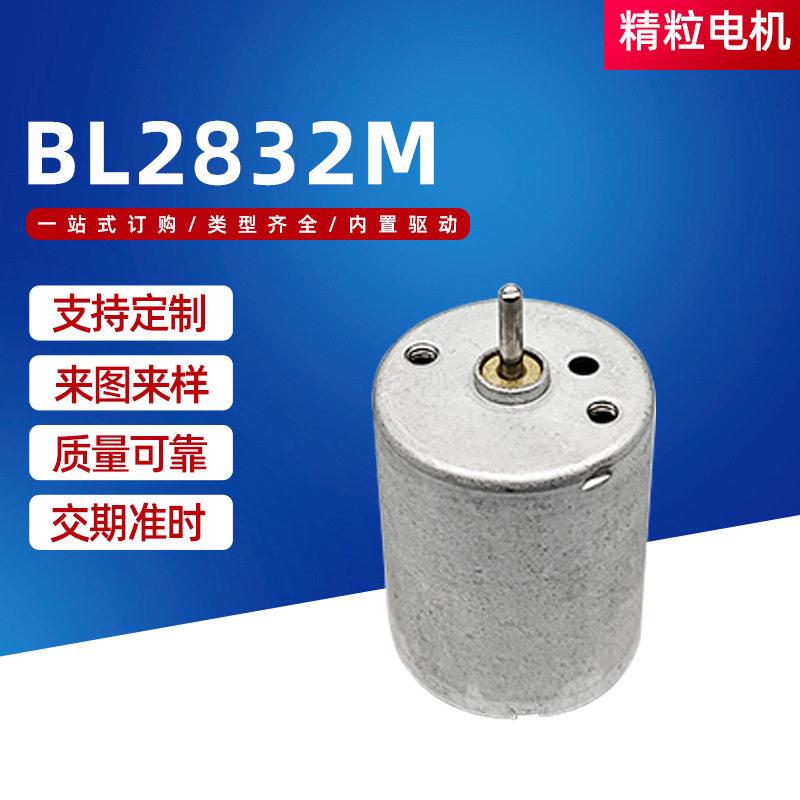BL2832微型电机迷你电动风扇直流电机气泵上水器按摩器小马达电机