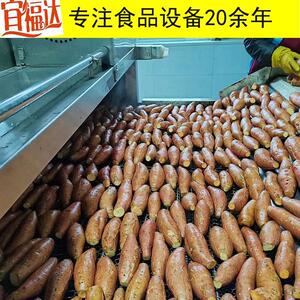 大枣苹果及果蔬高压喷淋清洗机山野菜连续漂烫线土豆萝卜设备