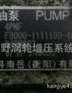 喷油泵F3000-B4PM907A3和4PM125A和1PG301-1111100B4PN98T10A