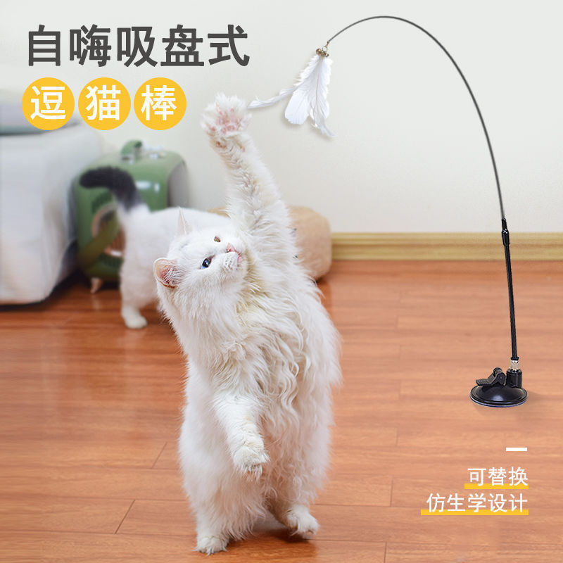 跨境强力吸盘弹性宠物智能玩具