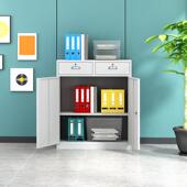 钢制资文件柜铁皮柜公储物柜料SMT 67柜档案柜中办二斗下柜节矮抽