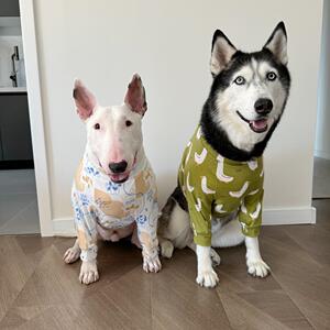 宠物居家护肘服透气宠物中大型犬护膝套大狗保护袖金毛牛头梗边境