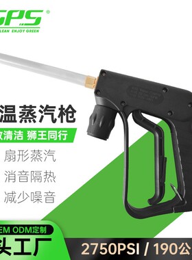 蒸汽枪蒸汽喷枪长款耐高温高压蒸汽洗车机用水枪扇形全铜高压枪头