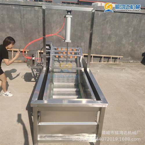 带气缸自动提升豆芽菜气泡清洗机菜叶清洗设备鼓泡式芹菜清洗机