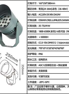 LED全彩RGBW文旅亮化芯龙泛光灯 DMX512染色山体氛围24W投光灯