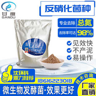 污水处理甘度反硝化细菌微生物活性菌总氮去除剂废水生化厌氧菌种