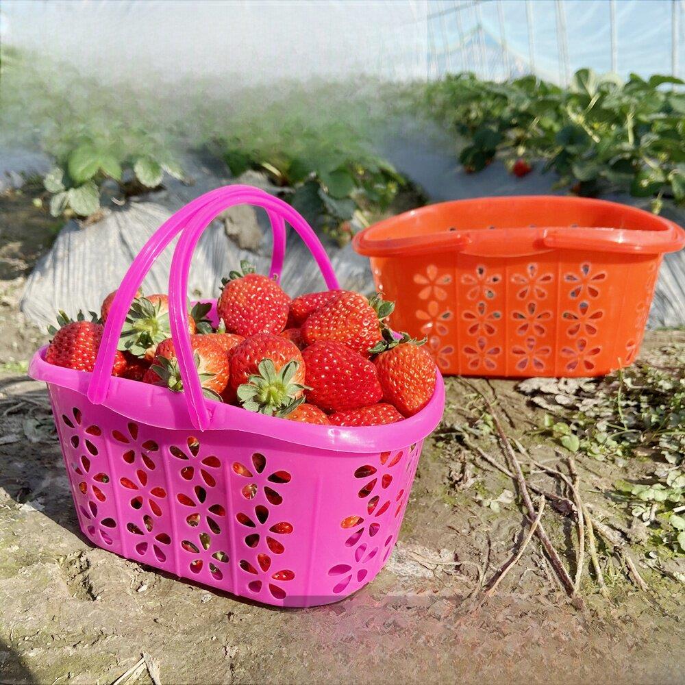 草莓篮子塑料水果樱桃蓝莓采摘杨梅手提鸡蛋筐梅花篮1/2/3/4/5斤