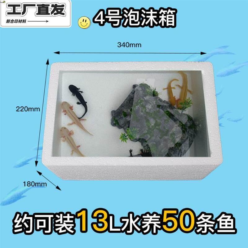泡沫箱保温箱加大号快递专用蔬菜摆摊水果冷藏保鲜特大加厚泡沫盒