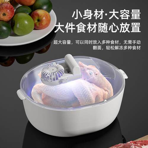 新款全自动解冻德国冷冻家用恒温厨房保鲜神器牛排快速多功能智能