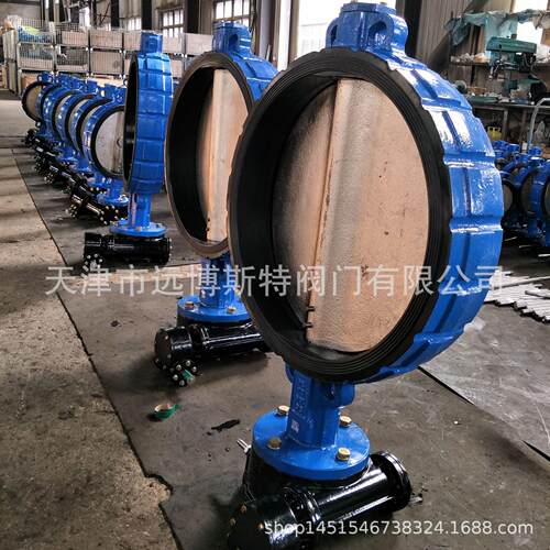 D371X-10/16Q，软密封手动蝶阀，蜗轮对夹不锈钢304中线阀门涡轮