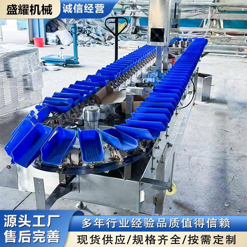 甲鱼重量分选机 7级鲜活产品称重分拣机 青枣自动称重分级机 盛耀
