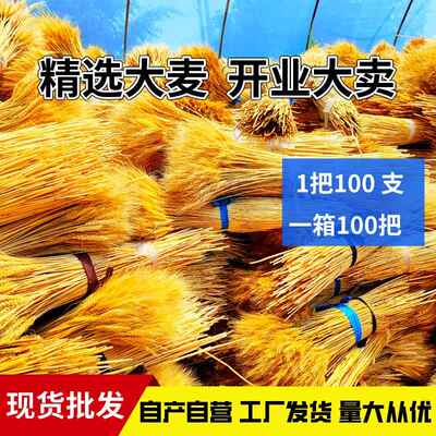 新款黄天干金大麦穗麦开业花篮然花装饰花束摆件插花大批装整发