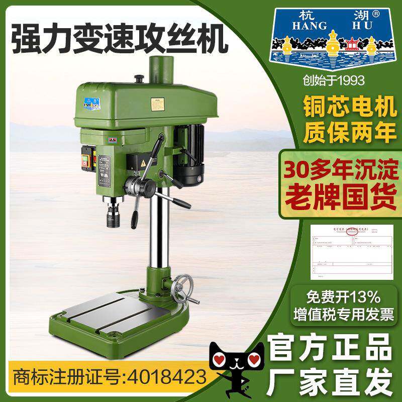 杭湖强力变速攻丝机ZWS-40半自动攻牙机工业大功率孔攻丝M12-M30