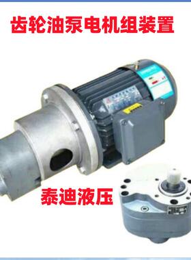 LBZ-80立式齿轮油泵电机组装置 配电机Y100L2-4-B5 3KW