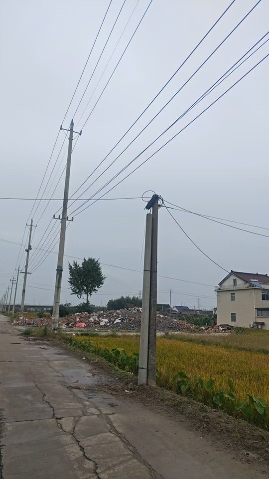 盐宜铁路大泗标段买断树木