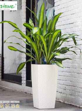 藤莱秀懒人花盆方客形大号TB04落地厅自动吸水仿编之懒人花盆