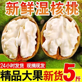 2023年新鲜湿核桃大凉山手工，去青皮老树核桃，薄皮孕妇嫩生新货5斤