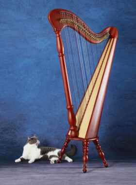 新款Krisatll台湾爱尔兰竖琴乐器20/28/34/36/典40弦专业Harp古扳