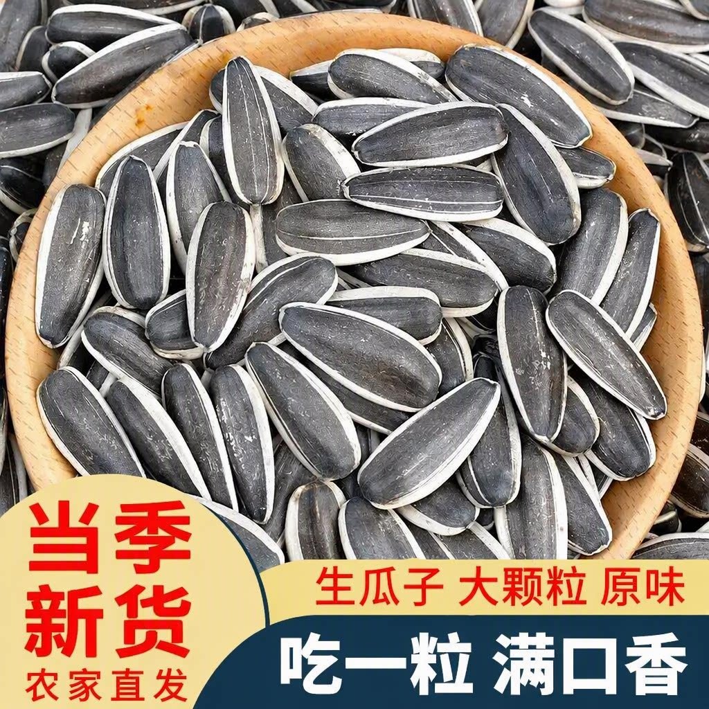 生葵花籽脆瓜子原味大颗粒内蒙古新鲜葵花子当季新货散装农家直发