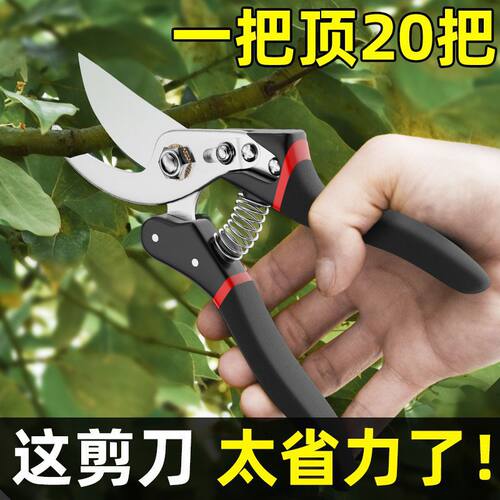sk省力省力修枝树枝大号果树剪刀