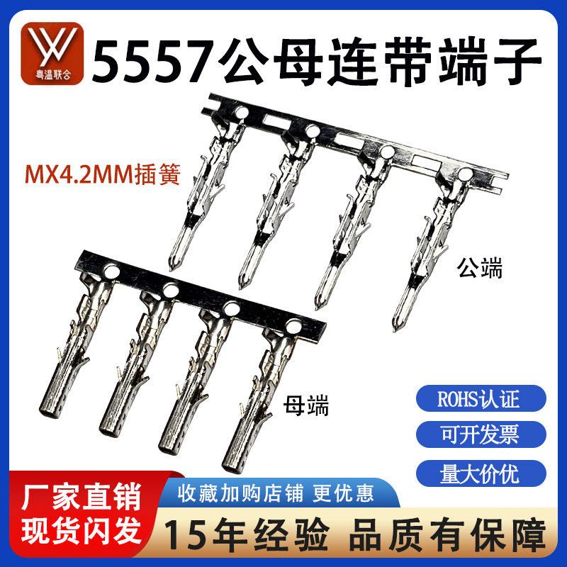 5557-T/5556-T端子 母插簧公针接线端子 磷铜连带连绕端子接插件