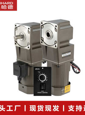 雷奥哈德电机厂60W直角减速电机用于污水处理设备36RT比转角电机