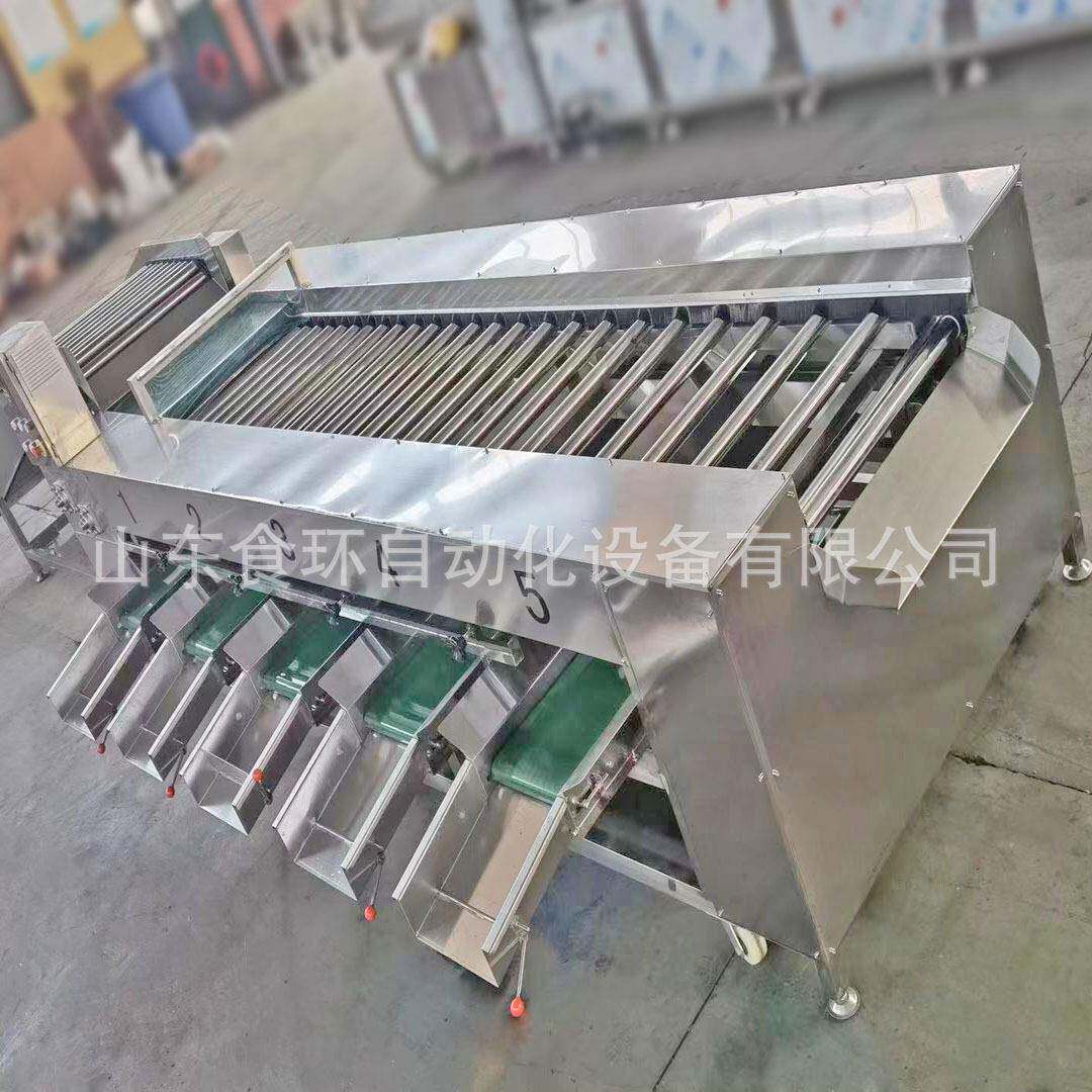 山竹挑选机 百香果大小分级机 柠檬橙子清洗分级流水线