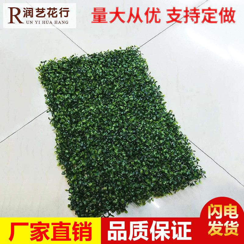 仿真草坪植物背景墙草皮墙面门头阳台装饰用人造仿真米兰草假草坪