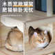 猫爬架猫窝猫树一体猫抓板猫架子家用不占地太空舱非实木猫咪跳台