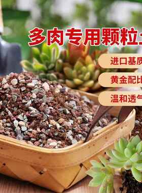 包邮多肉专用颗粒土植物种植营养土壤铺面石陶粒盆栽花进口泥炭土