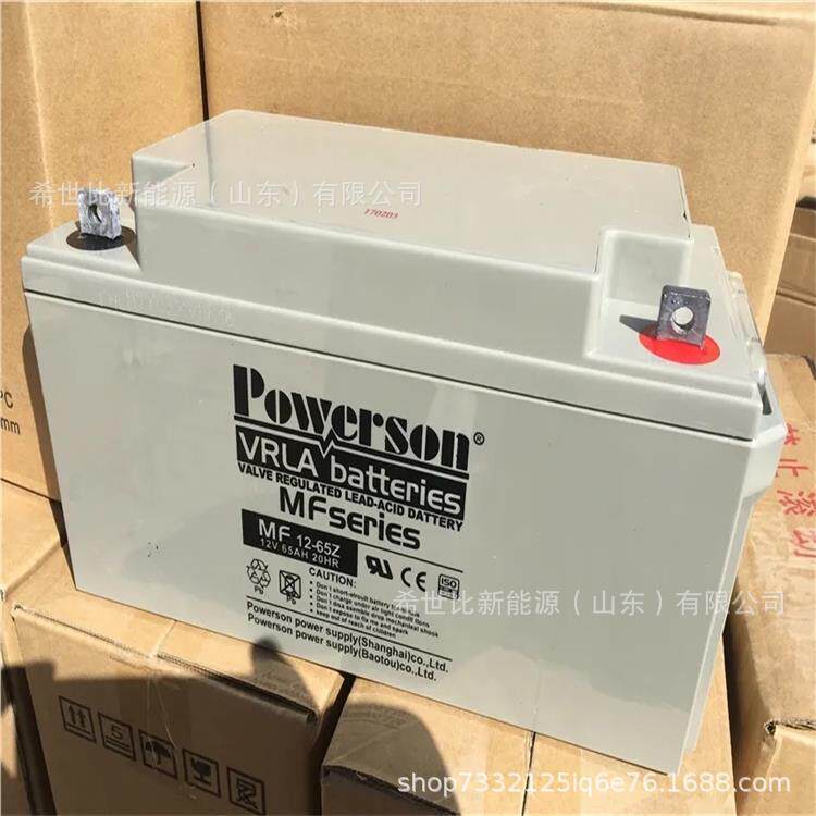 复华蓄电池6-GFM-6512V65AH/10HR铅酸免维护直流屏铁路石化电源