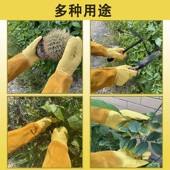 奥骐羊皮花手套种花防劳保艺手套刺园防割长款 养蜂防园护S园林手