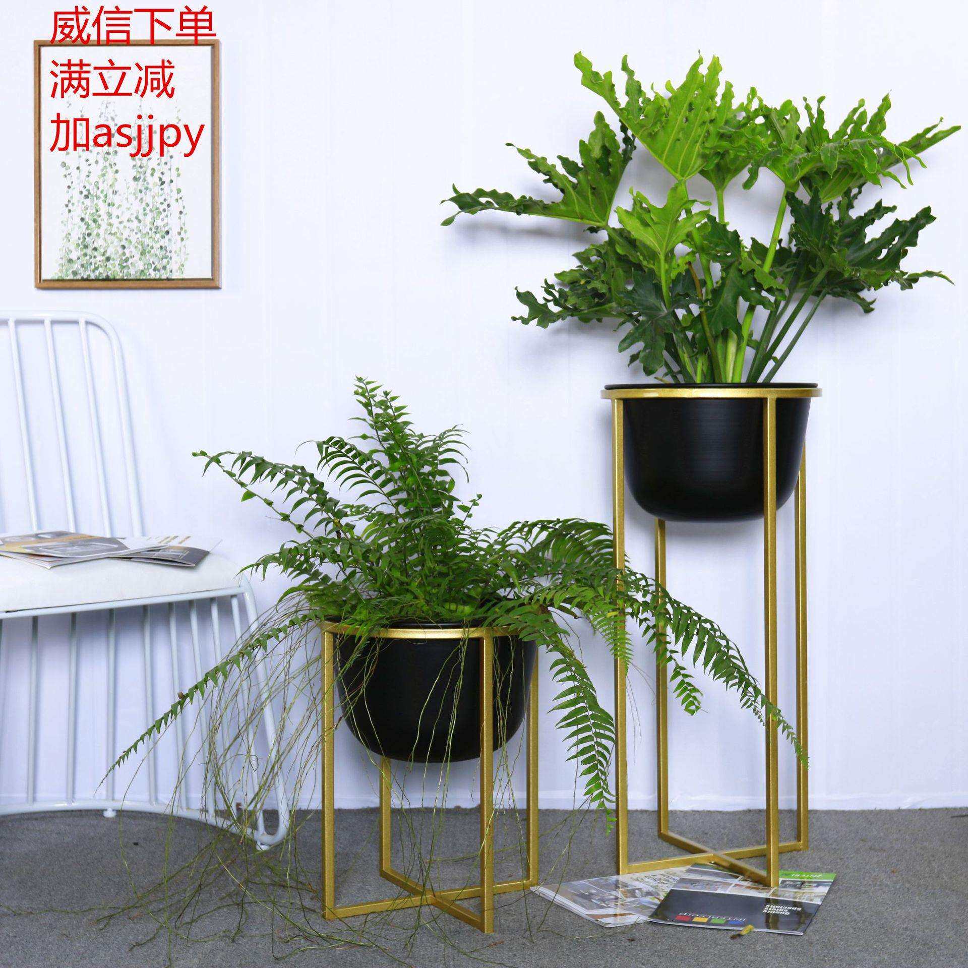 直销北欧风格款铁艺花架花盆室内外艾利斯黑架绿萝盆栽植物架