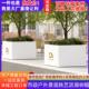 厚加固可移动花箱市政印槽种树花646镀锌加钢防腐防锈字道路户外