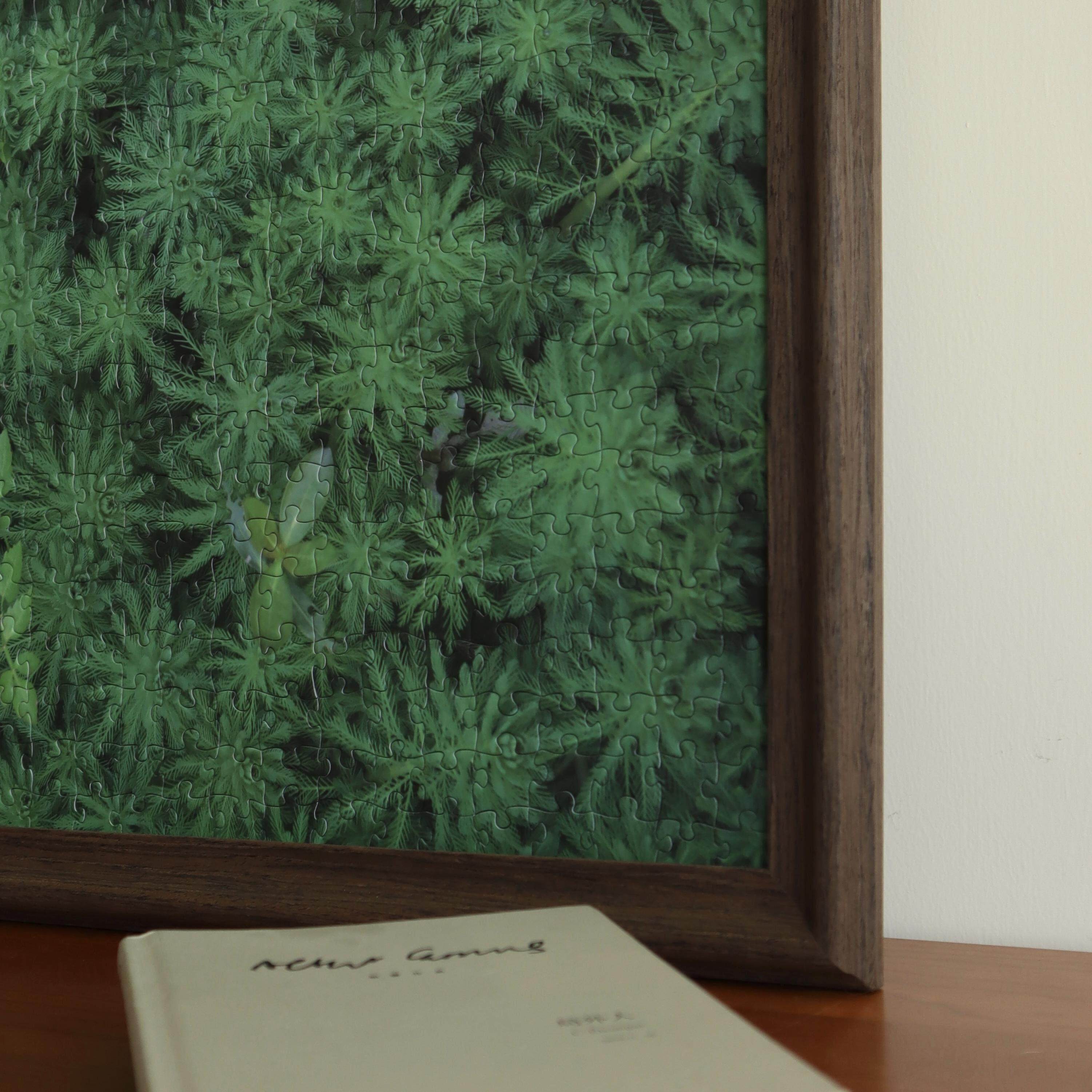 青松Art《实木拼图相框》画 画框挂墙1000片专用送胶水70x50