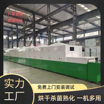 隧道式基质杀菌机 稻壳椰糠微波杀菌设备 高岭土干燥设备