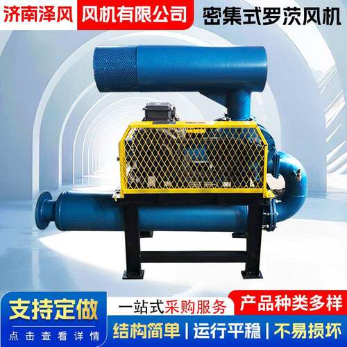 密集式罗茨鼓风机养殖氧曝气设备多型号污水处理密集式罗茨风机