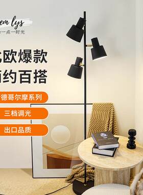 客厅LED灯三头落地灯沙发卧室看书床头简约高级感轻奢多头坐地埋