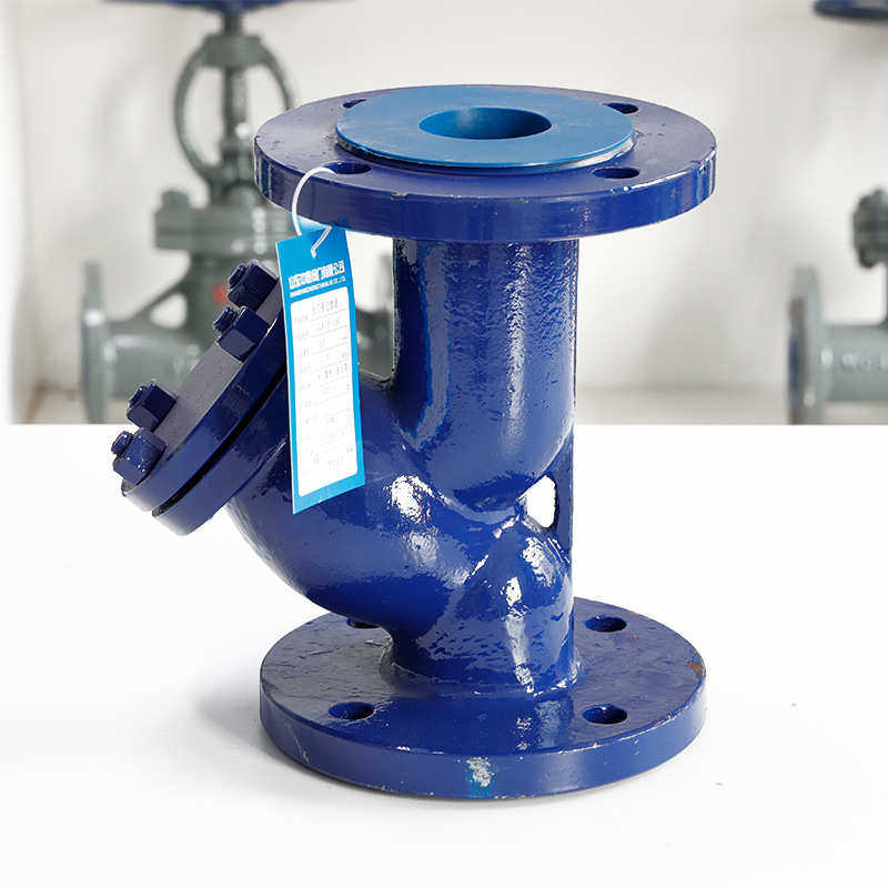 收集法兰y型碳钢wcbdn300过滤器16c-gl41h过滤器杂质管道处理