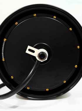 熊猫电机12寸1500w2000w5代3000w4000W5000W磁钢瓦片宽钢圈光板