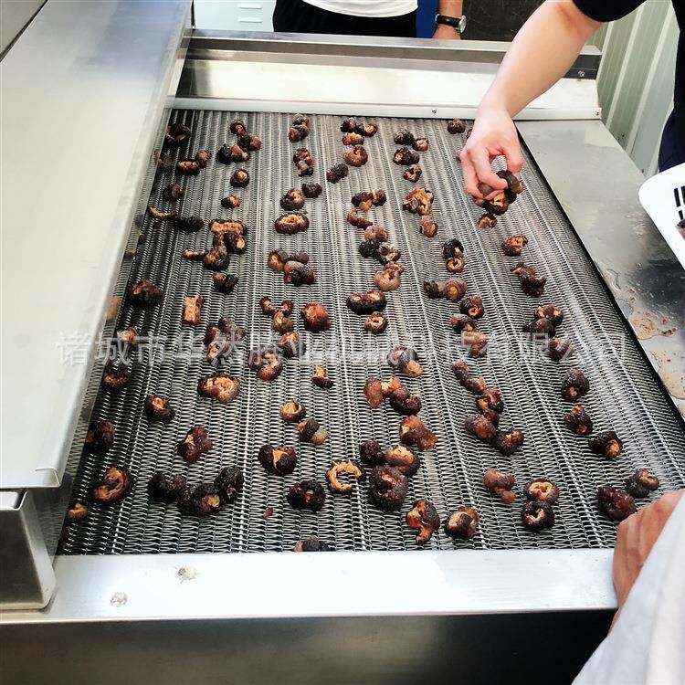 墨鱼速冻机厂家供应隧道式压缩机水产品速冻机鱿鱼速冻机