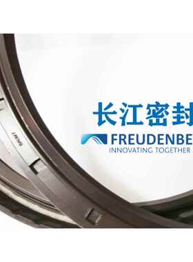 德国CFW 氟胶骨架油封BAUM7SLX7 280-320-20