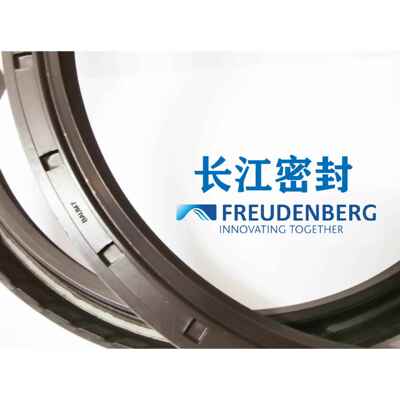 德国CFW 氟胶骨架油封BAUM7SLX7 280-320-20