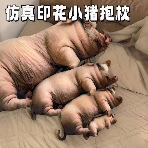 真抽象彷小猪毛绒玩具公仔沙发枕床上布娃娃睡觉抱枕恶搞抱女友小