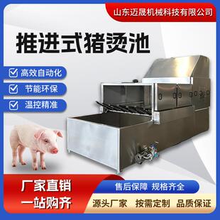 改造封闭式整猪烫毛机 全自动毛猪运河烫 生猪电加热运河式烫池